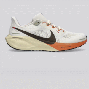 Nike Running Pegasus