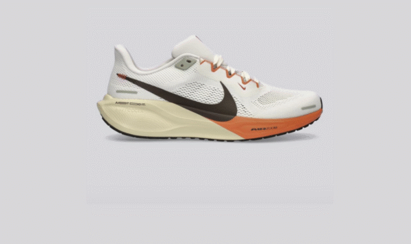 Nike Running Pegasus