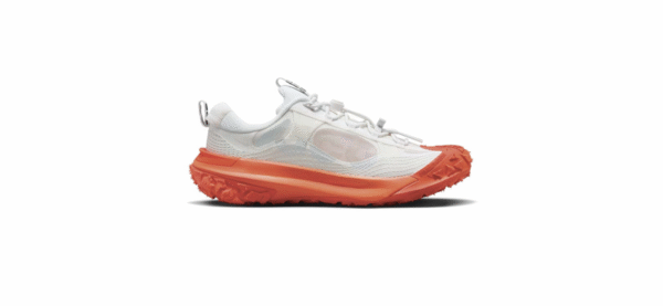 Nike ACG Mountain FLY 2 Low