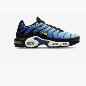 Nike TN Blue