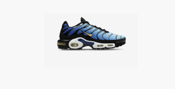 Nike TN Blue